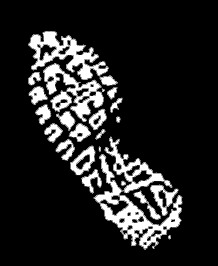 bootcamp-wite footlogo