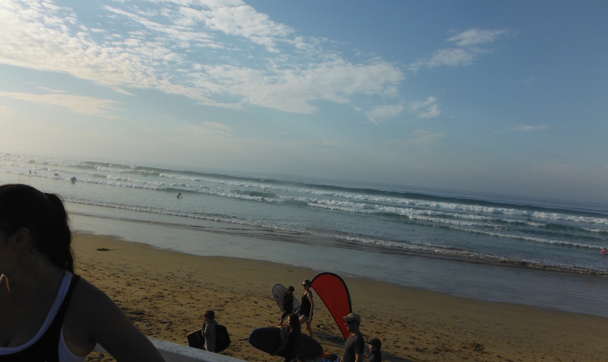 DSCF0339