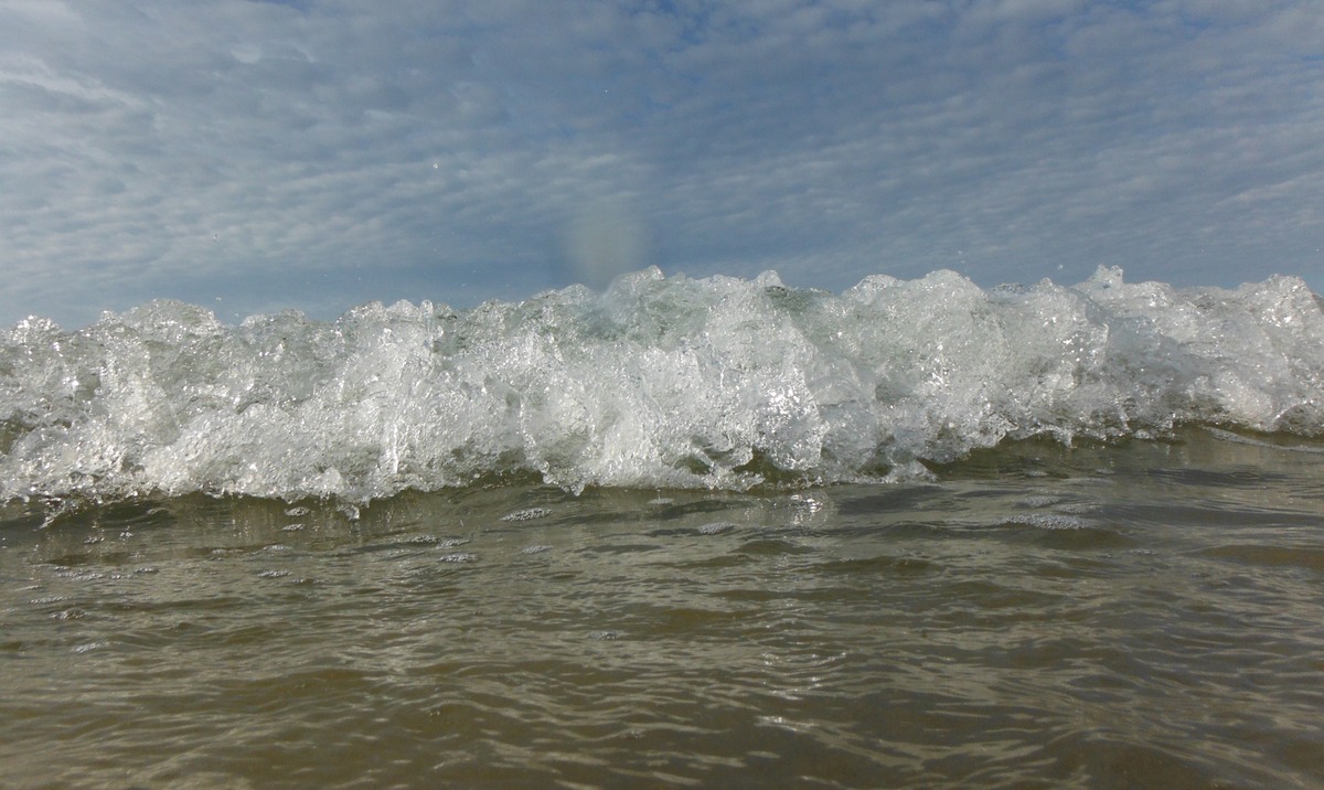 DSCF0520