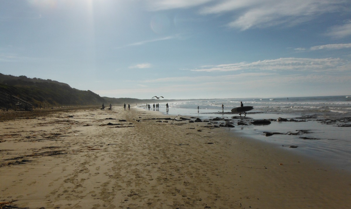 DSCF0527