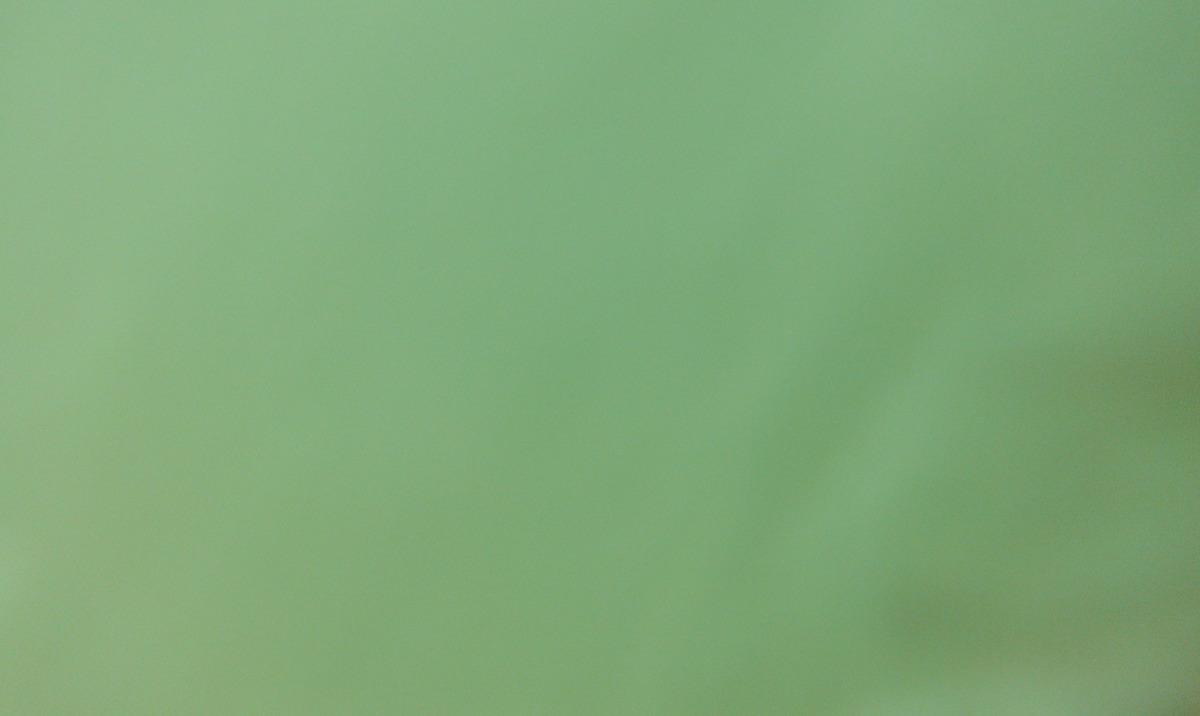 DSCF0534