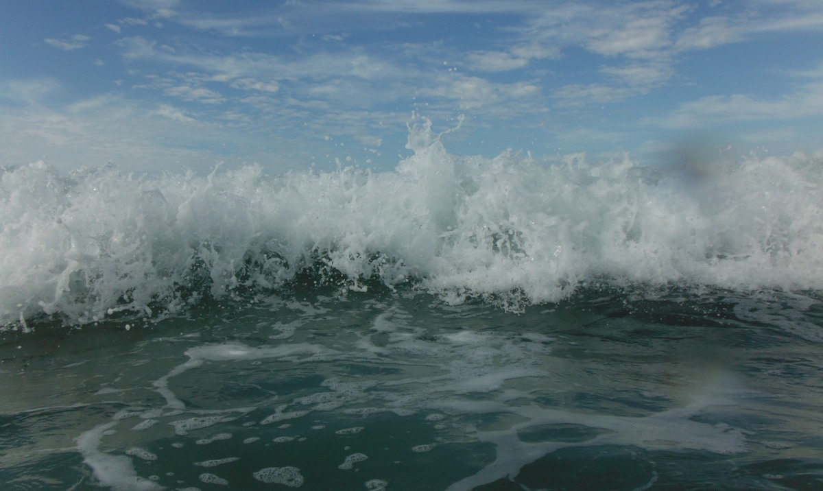DSCF0537