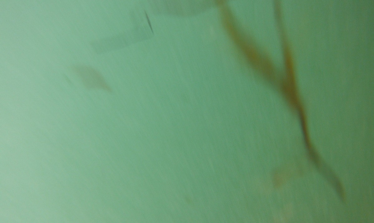DSCF0543