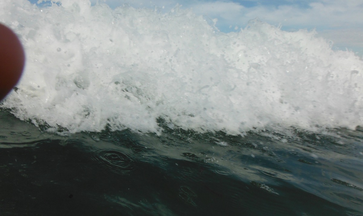 DSCF0545