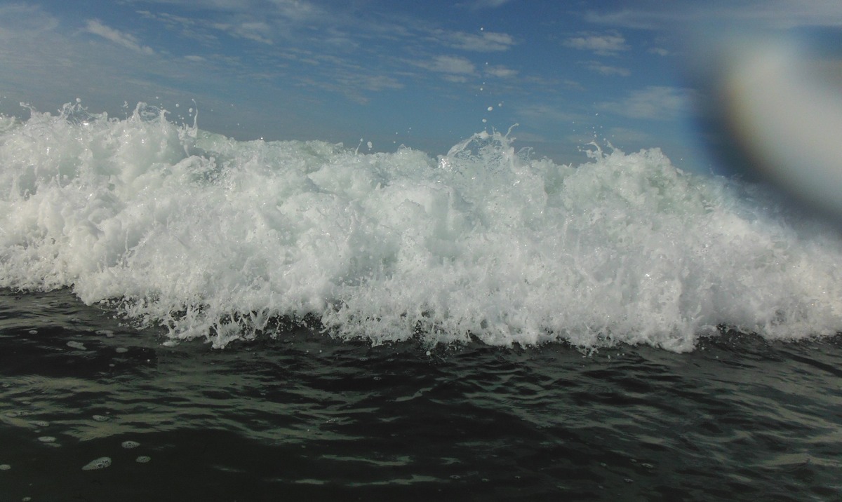 DSCF0550