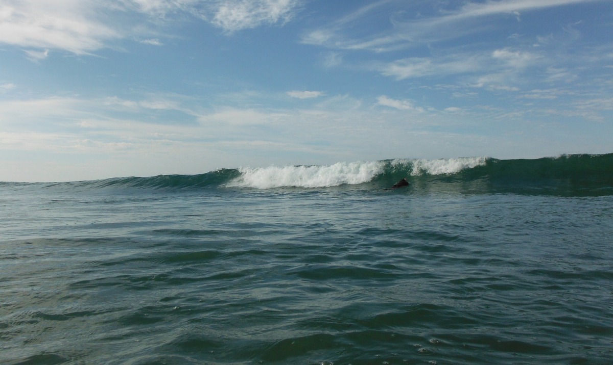 DSCF0557