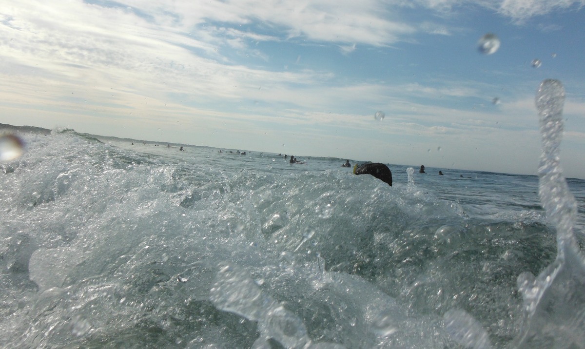 DSCF0565